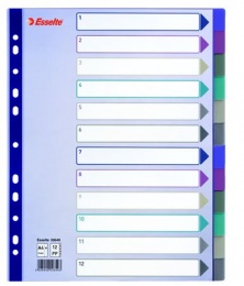 Regiszter, műanyag, A4 Maxi, 12 részes, ESSELTE, színes