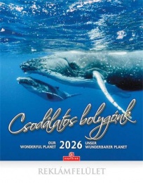 Naptár, fali, CSG, "Csodálatos bolygónk"